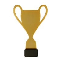 ML-CUP